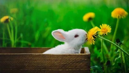 美股异动 | 加密货币概念股下跌 Coinbase(COIN.US)跌超7.8%