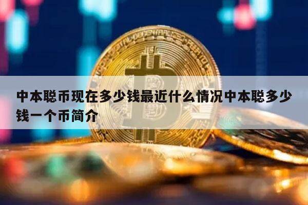 一中本聪币(中本聪一币多少钱)