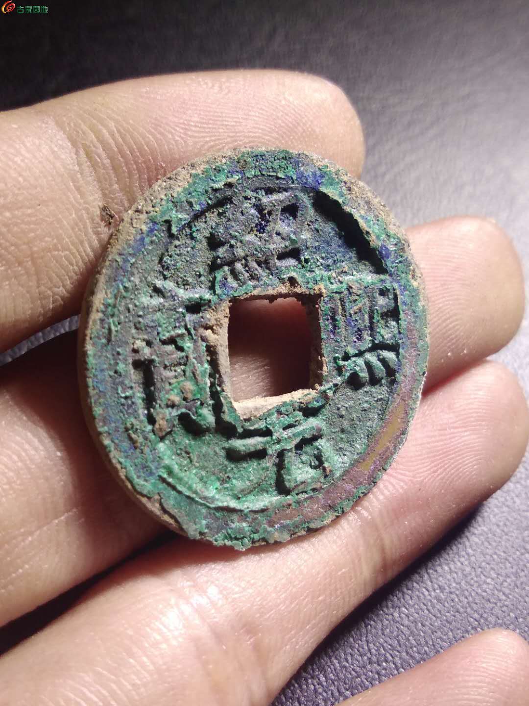 成都中博阅币(成都中博教育咨询公司)