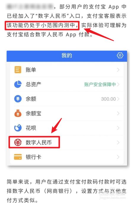 中币怎么用(中币app使用教程)