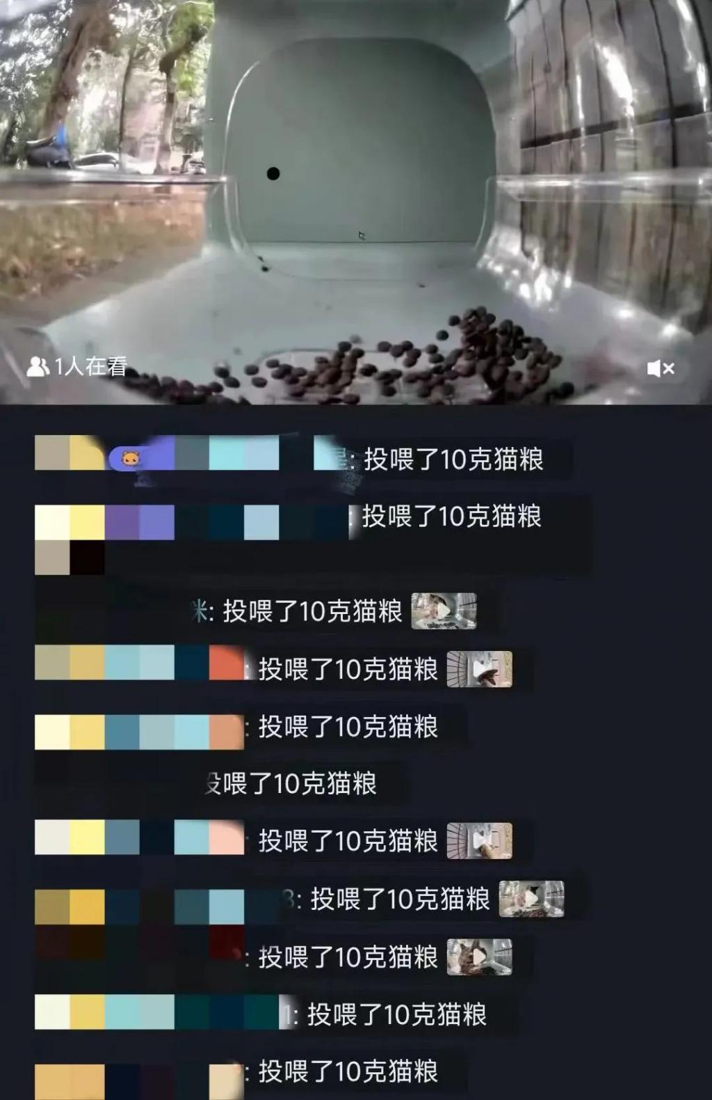 中币网瘫了(中币网会是骗局吗)