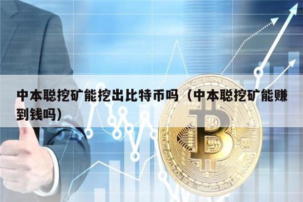 中本聪字币(中本聪币有价值吗)