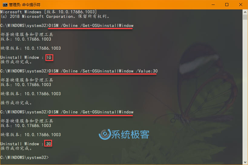 中币回滚(中币是不是跑路了)