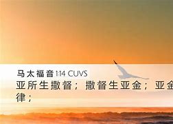 中太福朗币(孙中山民国纪念币一元价格图片)