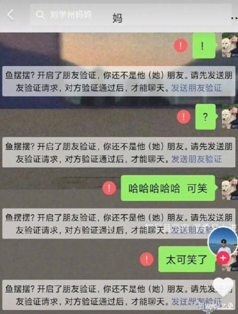 中币网遭黑(中币网安全吗)
