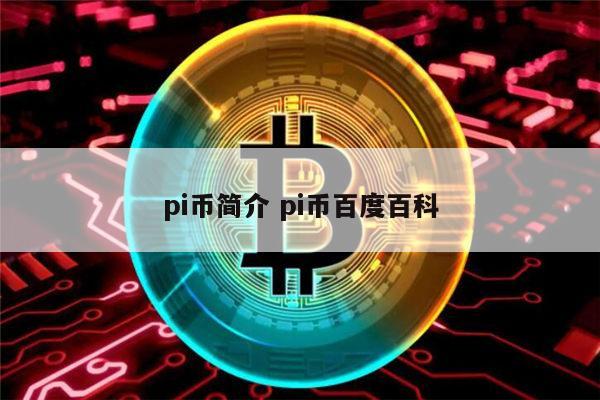 中pi币网(pi币中文网站)