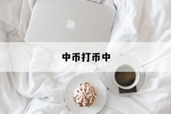 中币打币中(中币平台骗局)
